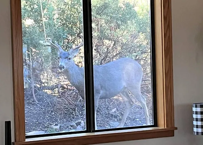 Mountain Retreat In The Pines Prescott